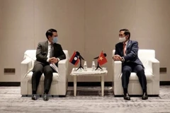 Foreign ministers of Vietnam, Laos applaud mutual support in COVID-19 fight