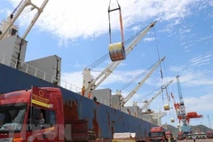Experts show optimism about balance of trade