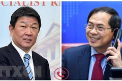 Foreign Ministers of Vietnam, Japan seek to promote extensive strategic partnership 