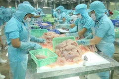 Online forum to promote Vietnam-Russia trade in agro-fisheries