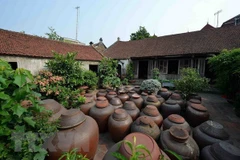 Duong Lam first Vietnamese ancient village to become national relic