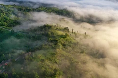 USAID launches environmental conservation projects in Vietnam