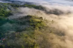 USAID launches environmental conservation projects in Vietnam