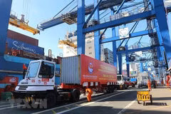HCM City's port stops receiving imports as containers pile up