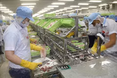 Tien Giang supports businesses resume production and trade