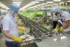 Tien Giang supports businesses resume production and trade