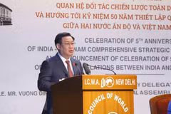 Fifth anniversary of Vietnam-India comprehensive strategic partnership marked