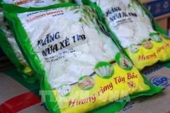  28 tonnes of fresh bamboo shoots exported to Netherlands
