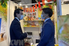 Vietnam looks to expand cooperation with Hong Kong