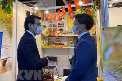 Vietnam looks to expand cooperation with Hong Kong