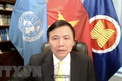 Vietnam voices concerns over escalating violence in Yemen