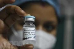 Ministry approves Indian Covaxin COVID-19 vaccine
