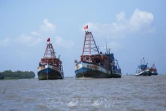 Vietnam’s border guards take tougher actions against IUU fishing