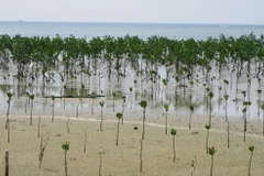 ASEAN launches region-wide greening initiative