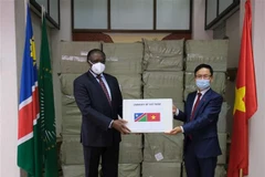 Vietnamese people assists African countries in COVID-19 combat