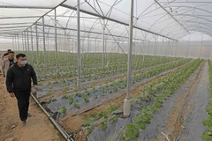 High-tech farming needs investment and proper policies