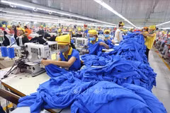 Canadian friends admire Vietnam for development achievements