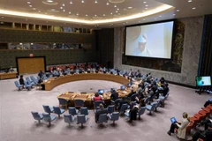 Vietnam urges countries in Sahel region to stay united against terrorism 