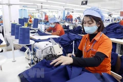 Tien Giang’s industrial production edges up 1.13 percent in H1