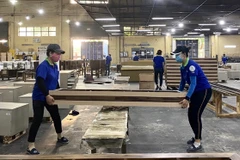 Timber industry urged to go digital amid long-term impacts of COVID-19