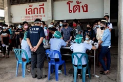 Vietnamese nationals must not return home illegally: Vietnamese embassy