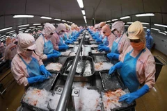Tay Ninh supports firms to resume post-pandemic production 