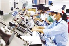 Private businesses in Vietnam: increases in both quantity, quality