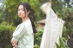 Vietnamese, Hollywood films hit cinemas in festive season