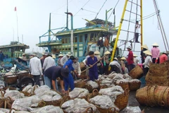 Fishery sector carries out electronic traceability