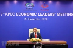 President’s participation in APEC meetings to raise Vietnam’s stature in multilateral activities
