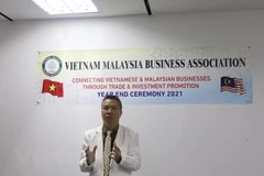 Vietnamese firms in Malaysia successfully navigate through COVID-19 crisis