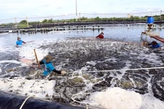 Sustainable aquaculture: Livelihoods for millions of people in Asia