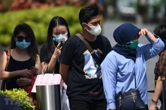 Ensuring safety, medical care for Vietnamese people in Singapore: spokesperson