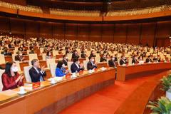 Promoting pioneering role of foreign relations for higher national stature, prestige: Deputy PM
