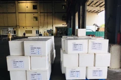 Vietnamese lychee wins British consumers' hearts