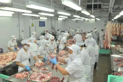 HCM City to focus on revival of businesses in 2021