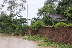 Erosion detected in Ca Mau’s coastal embankment