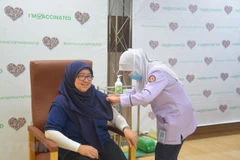 ASEAN urged to bolster cooperation in COVID-19 vaccination, mental health 