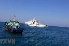 Vietnam keeps close watch on developments in East Sea: spokeswoman