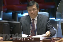 Vietnamese ambassador urges end to all military actions in Yemen