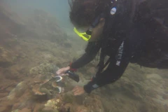 First-ever clean-up of coral reefs in Cham Islands
