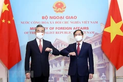 Foreign ministers talk measures for strengthening Vietnam - China ties
