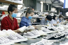 Vietnam's footwear industry sees robust growth despite COVID-19 pandemic