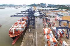 Vietnamese ports among top 50 effective container seaports 