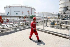 Indonesia looks to end LPG import by 2027