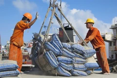 Domestic cement sales forecast to increase but export to slow down