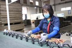 Vietnam’s 2nd WTO trade policy review session opens