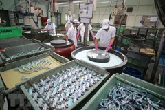 Vietnam calls for investments in 157 projects during 2021-2025