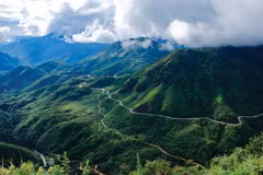  Lao Cai receives USAID’s aid for sustainable forest management