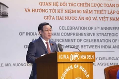 Fifth anniversary of Vietnam-India comprehensive strategic partnership marked